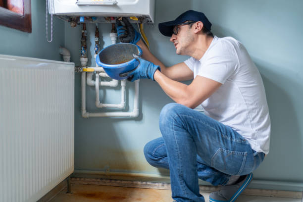 Best Garbage Disposal Repair and Installation  in Sanborn, IA